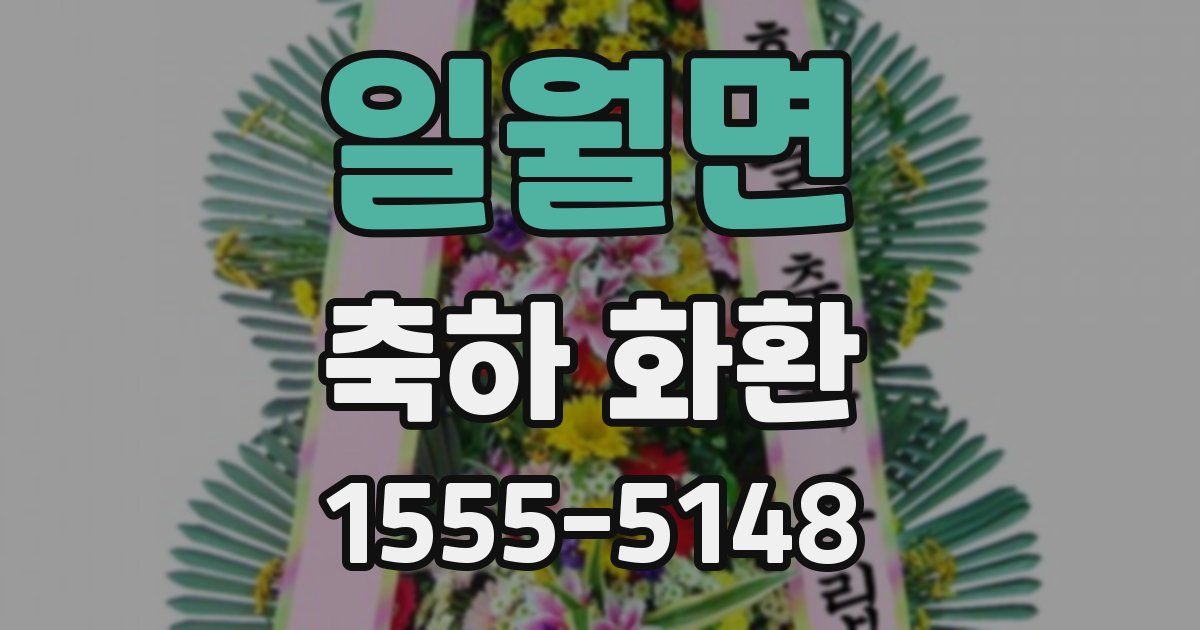 일월면 축하 화환
