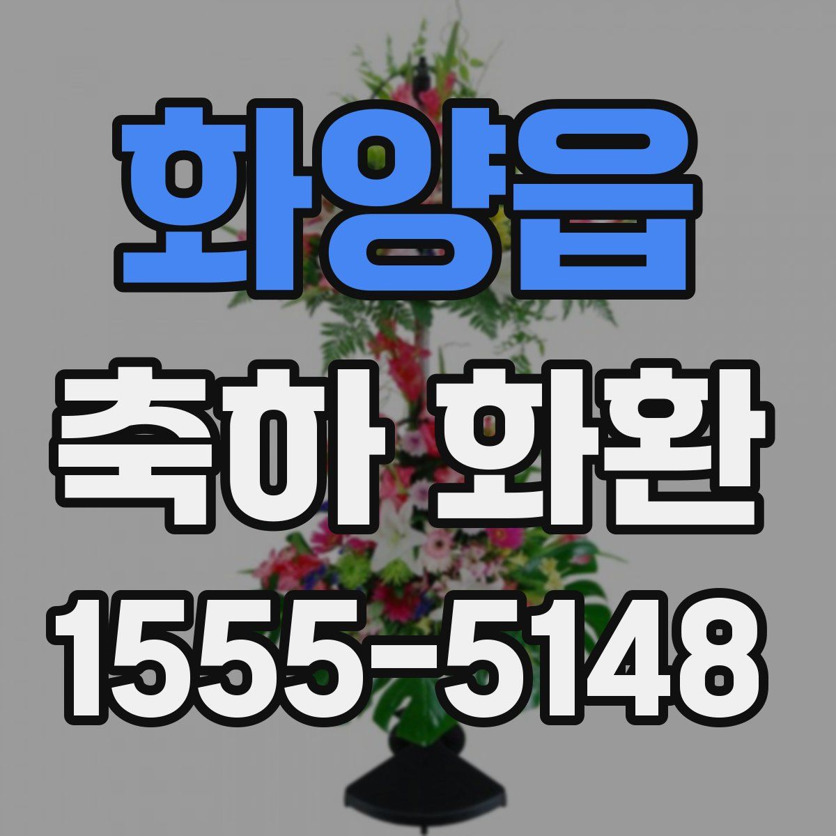 화양읍 축하 화환