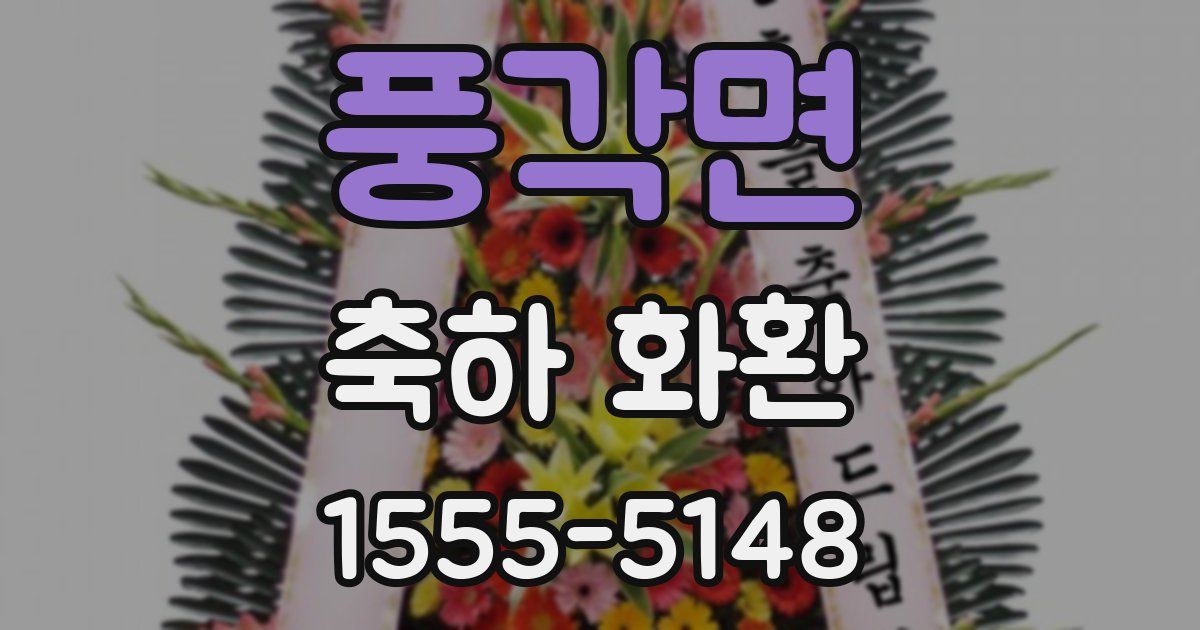 풍각면 축하 화환