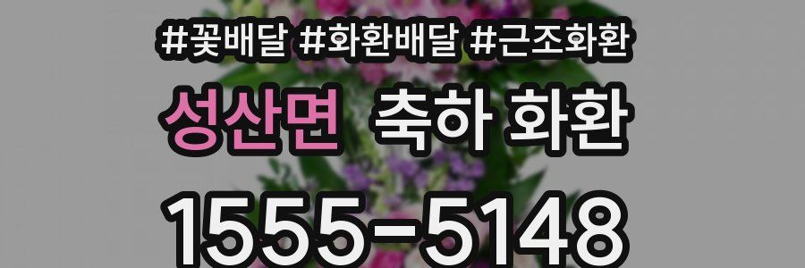 성산면 축하 화환