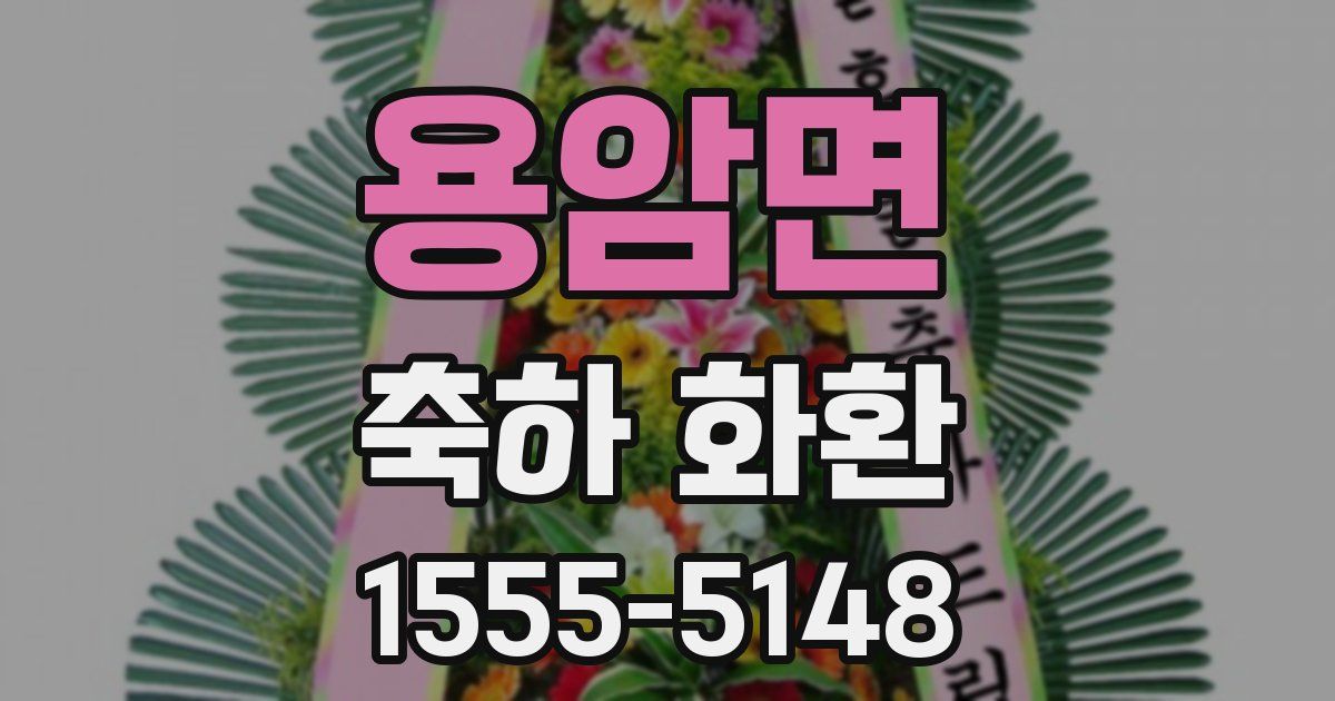 용암면 축하 화환