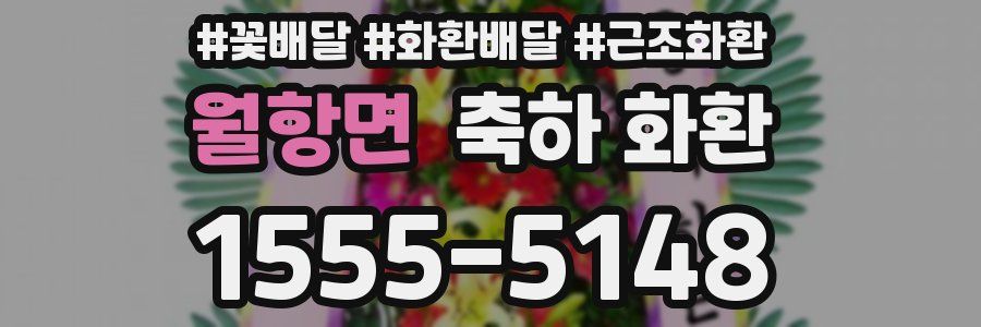 월항면 축하 화환