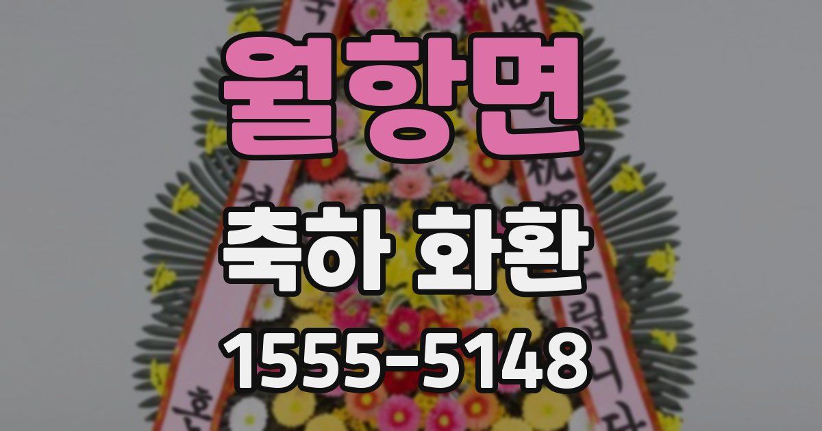 월항면 축하 화환
