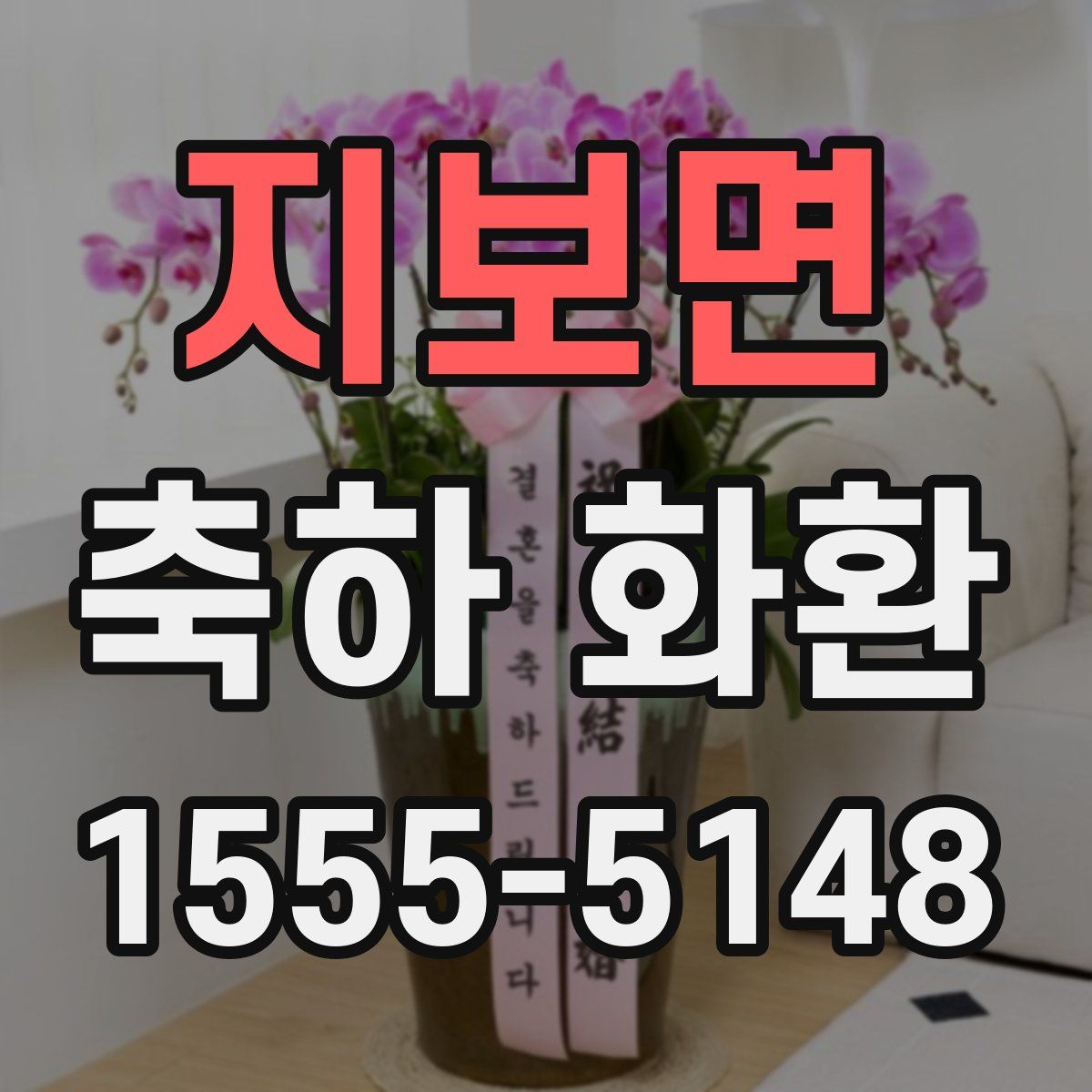 지보면 축하 화환
