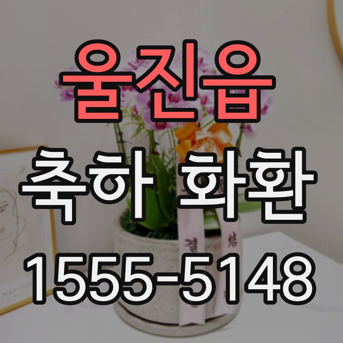 울진읍 축하 화환