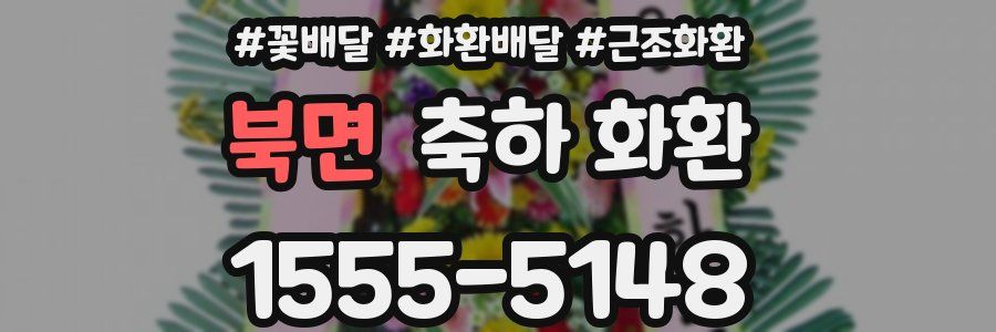 북면 축하 화환