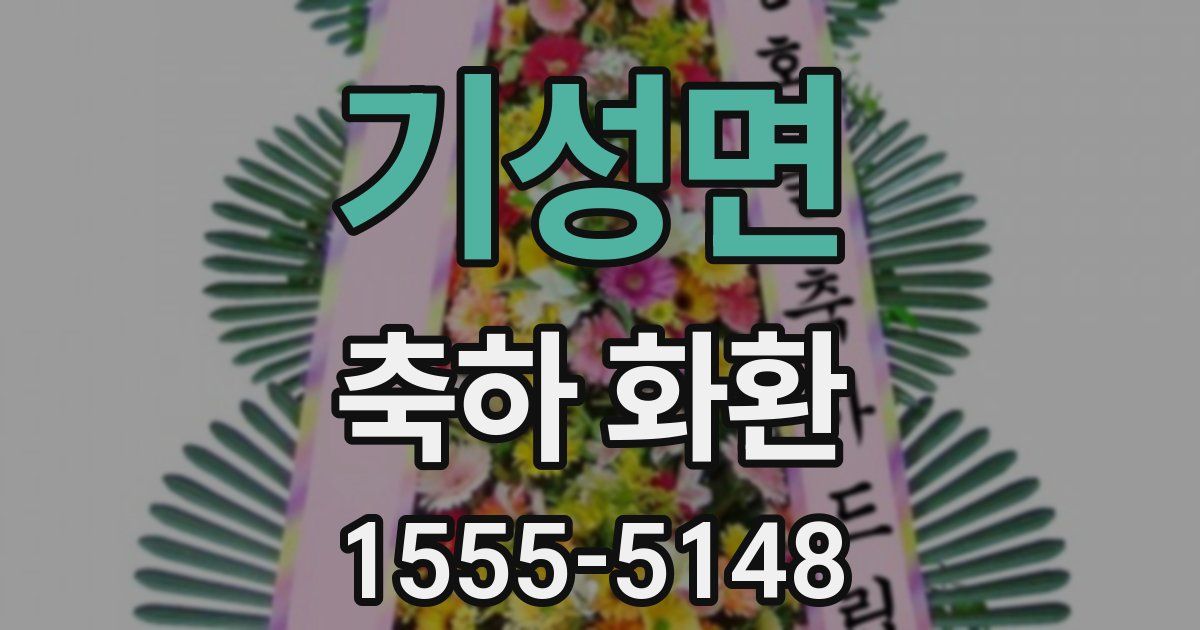 기성면 축하 화환