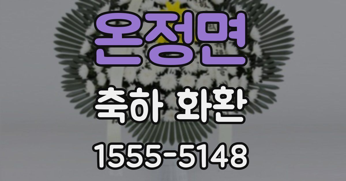 온정면 축하 화환