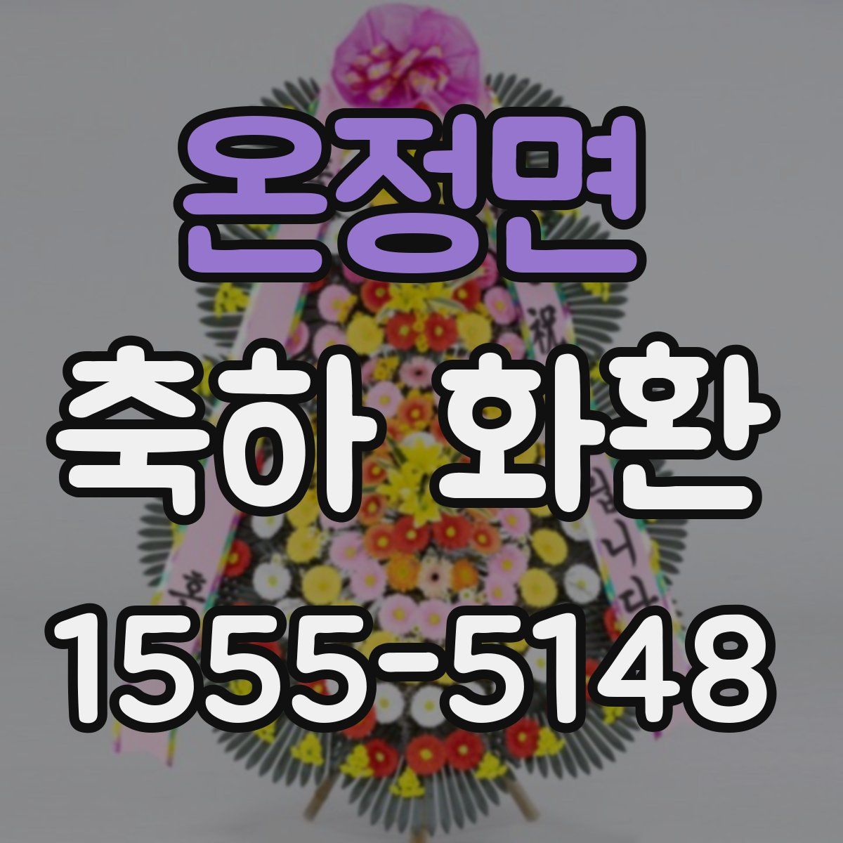 온정면 축하 화환