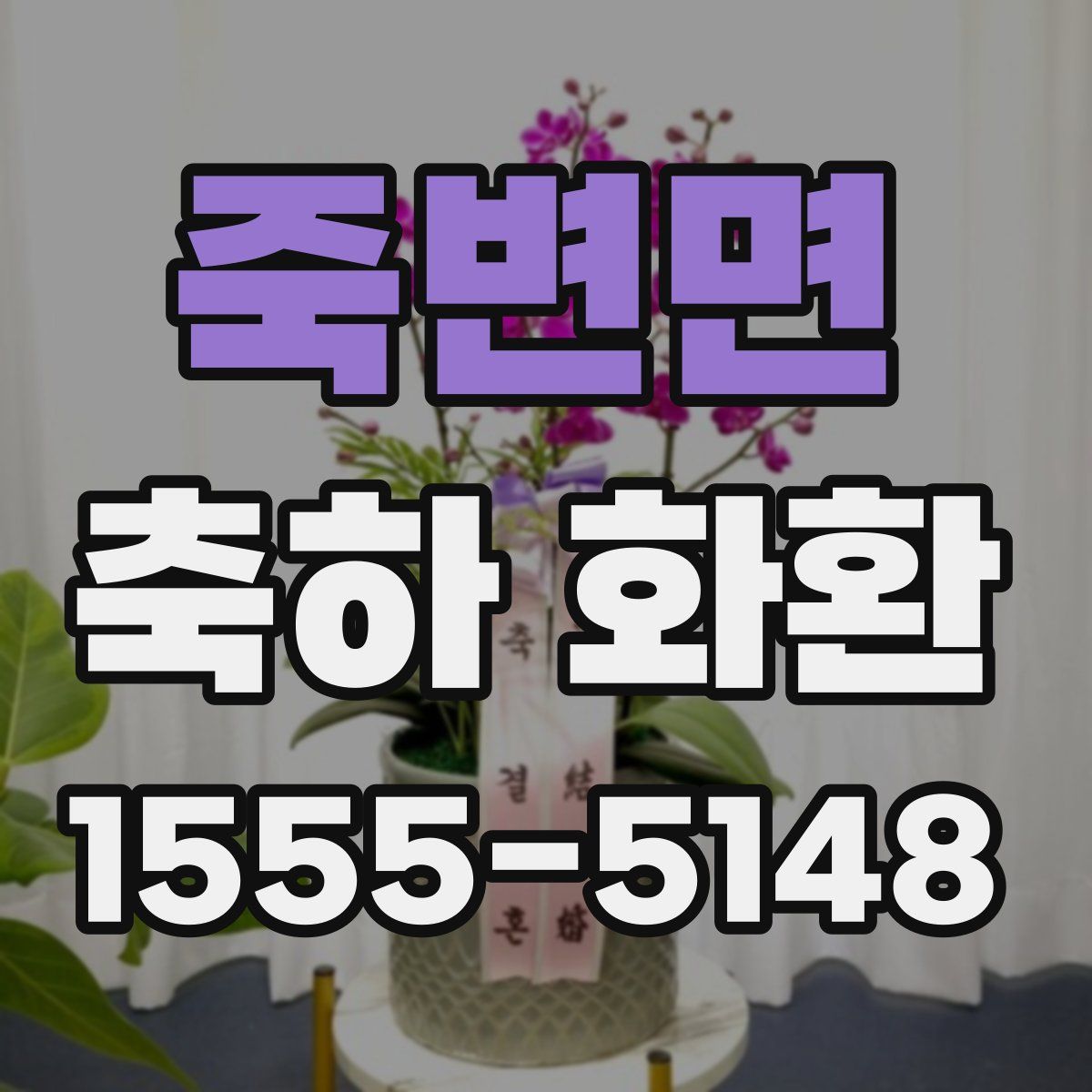 죽변면 축하 화환