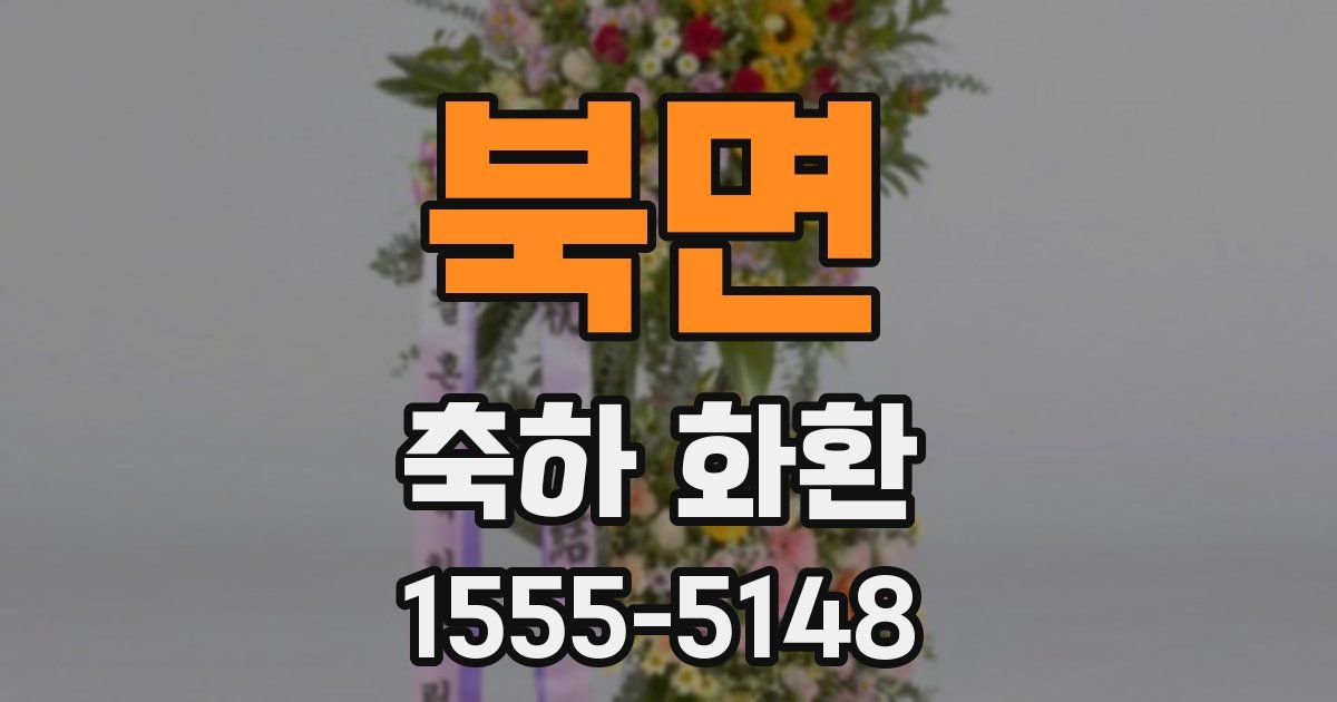 북면 축하 화환