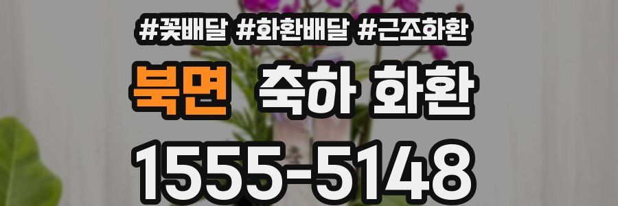 북면 축하 화환