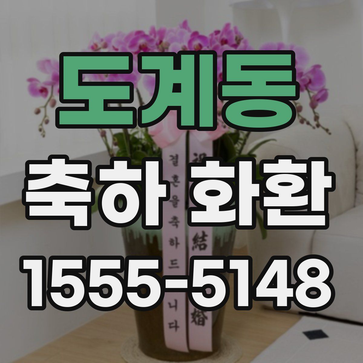 도계동 축하 화환