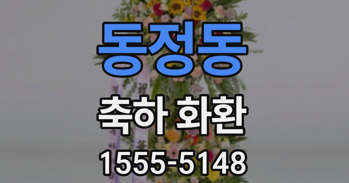 동정동 축하 화환