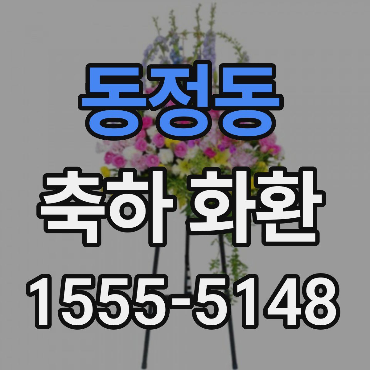 동정동 축하 화환