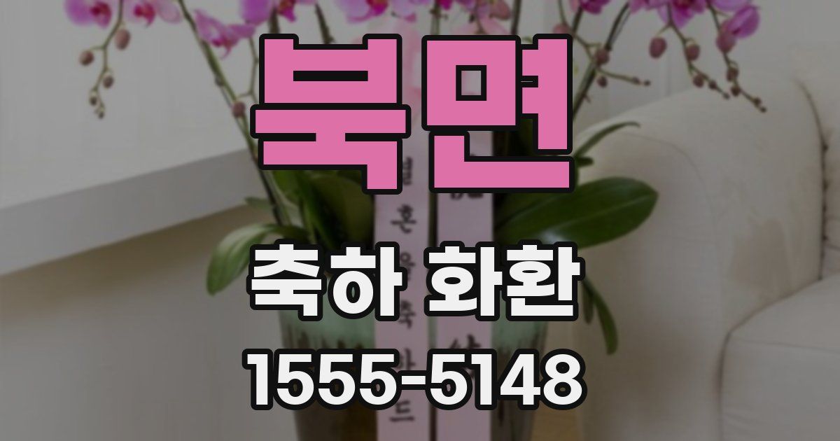 북면 축하 화환