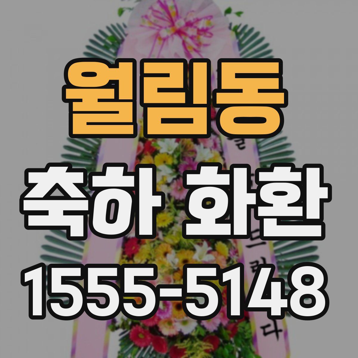 월림동 축하 화환