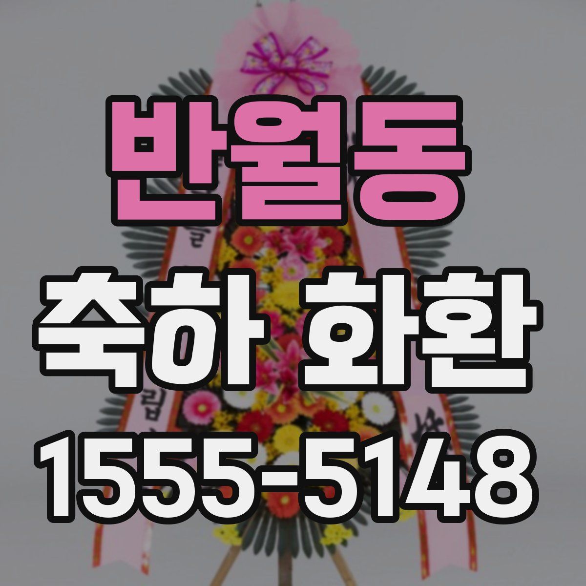 반월동 축하 화환