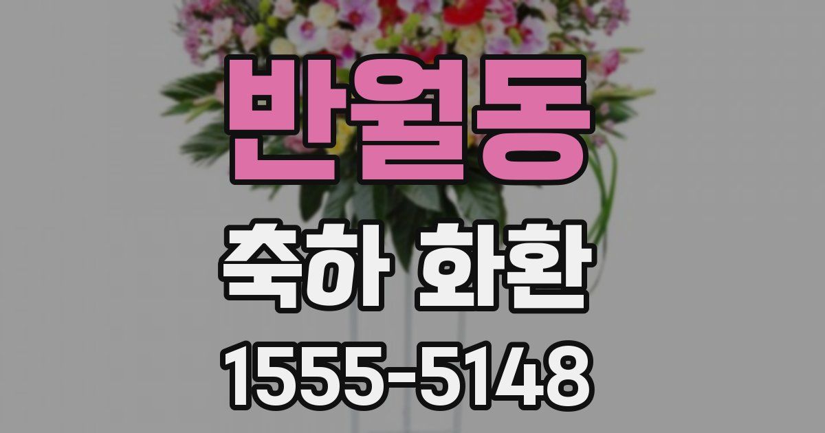 반월동 축하 화환