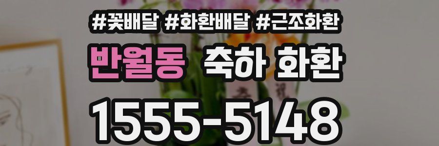 반월동 축하 화환