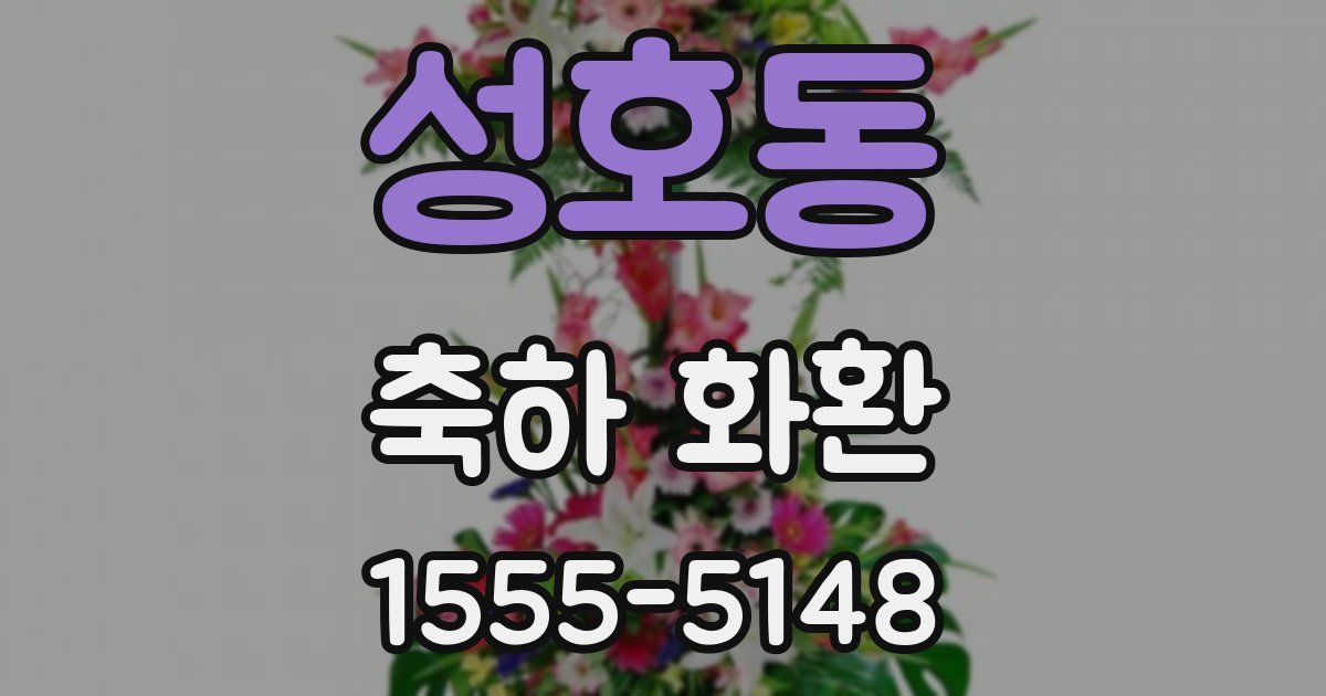 성호동 축하 화환