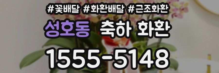 성호동 축하 화환