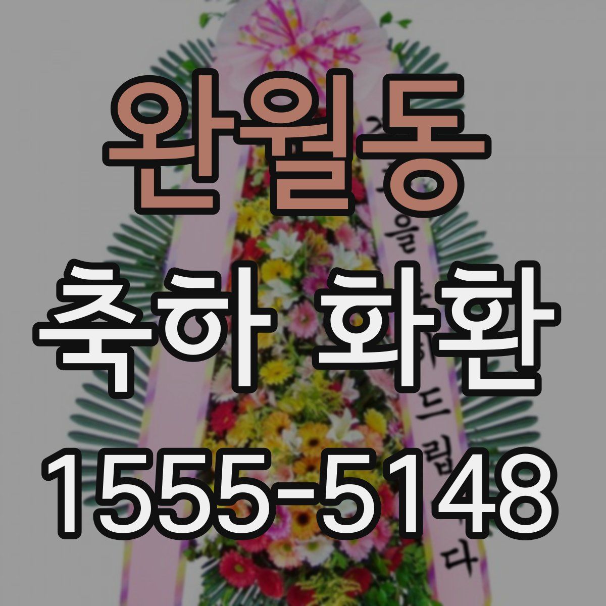 완월동 축하 화환