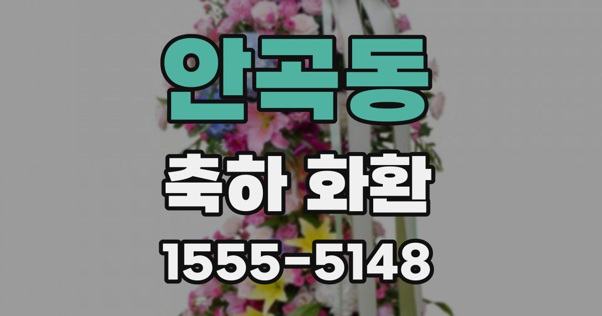 안곡동 축하 화환