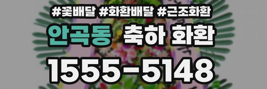 안곡동 축하 화환