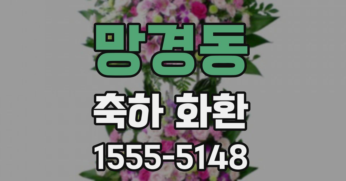 망경동 축하 화환