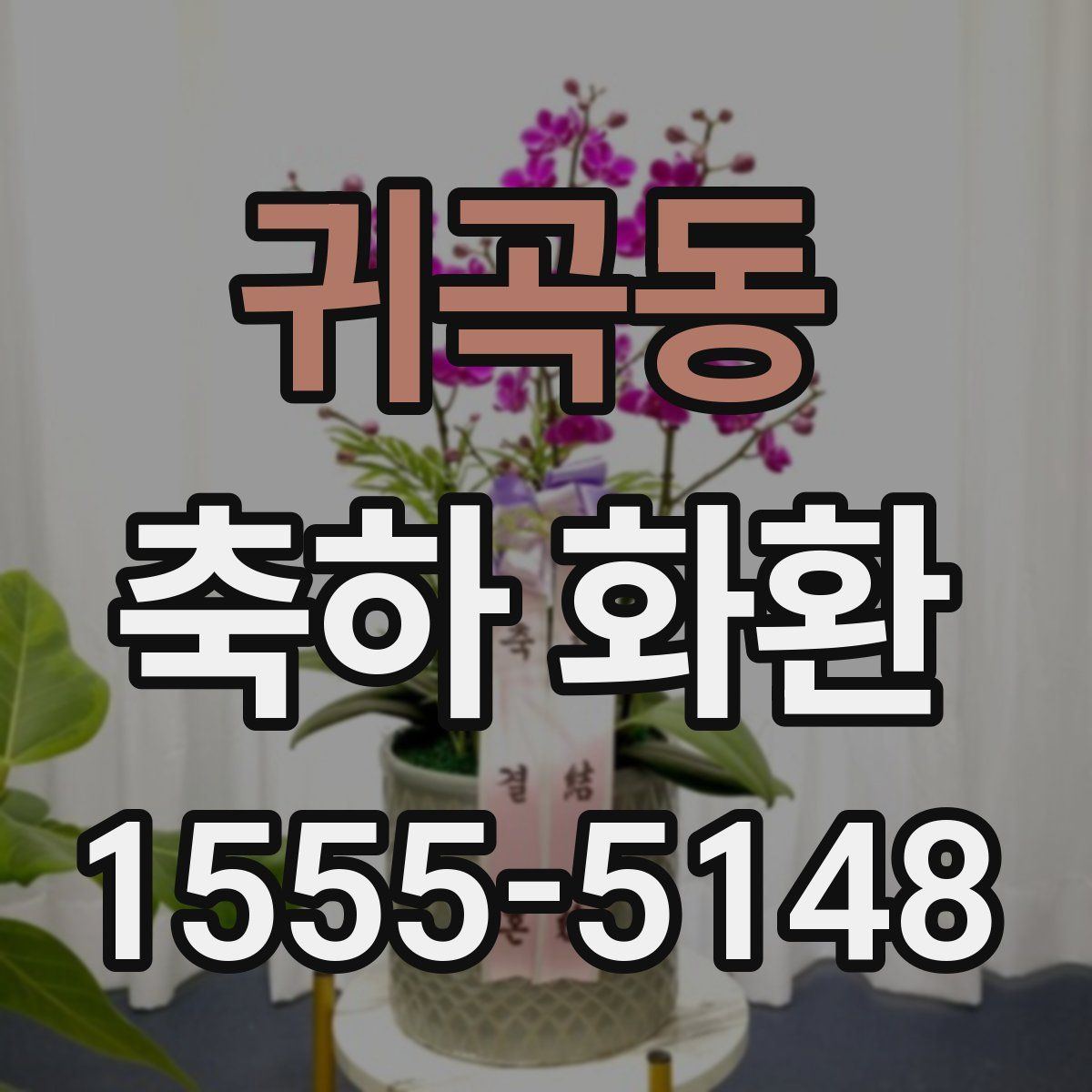 귀곡동 축하 화환