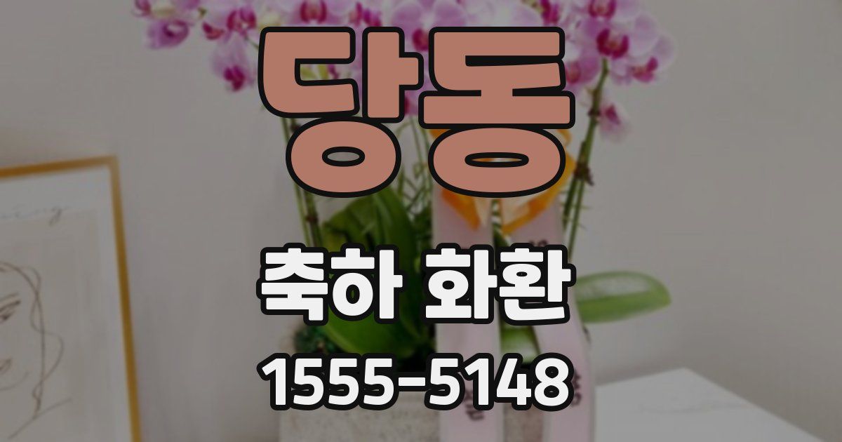 당동 축하 화환