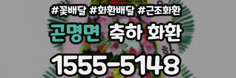 곤명면 축하 화환