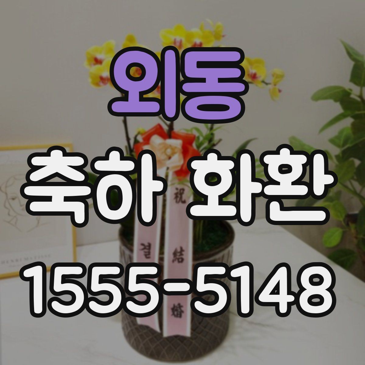 외동 축하 화환 비교 포인트를 한눈에 정리