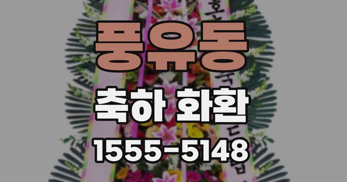 풍유동 축하 화환
