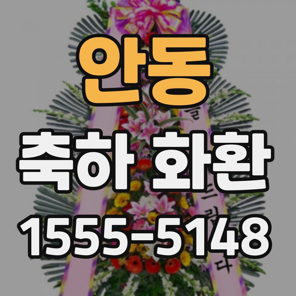 안동 축하 화환
