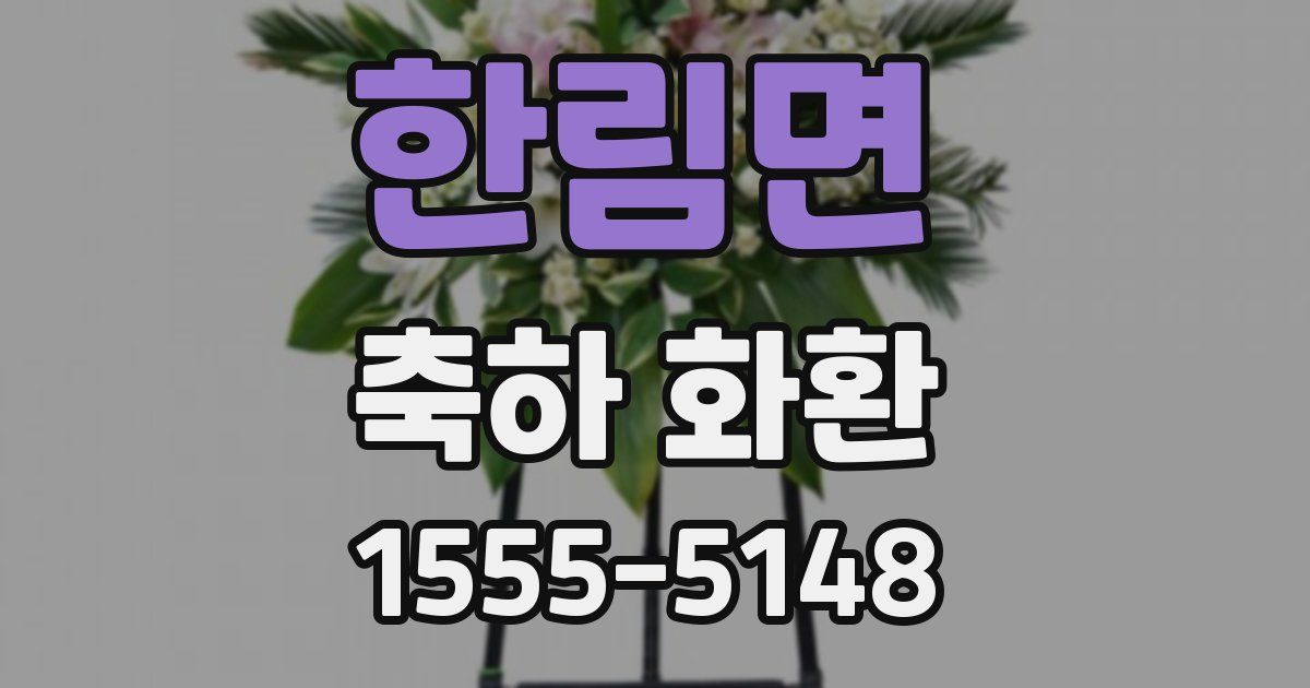 한림면 축하 화환