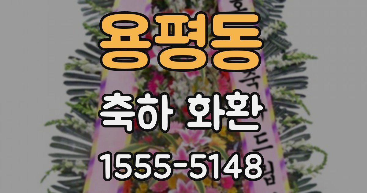 용평동 축하 화환