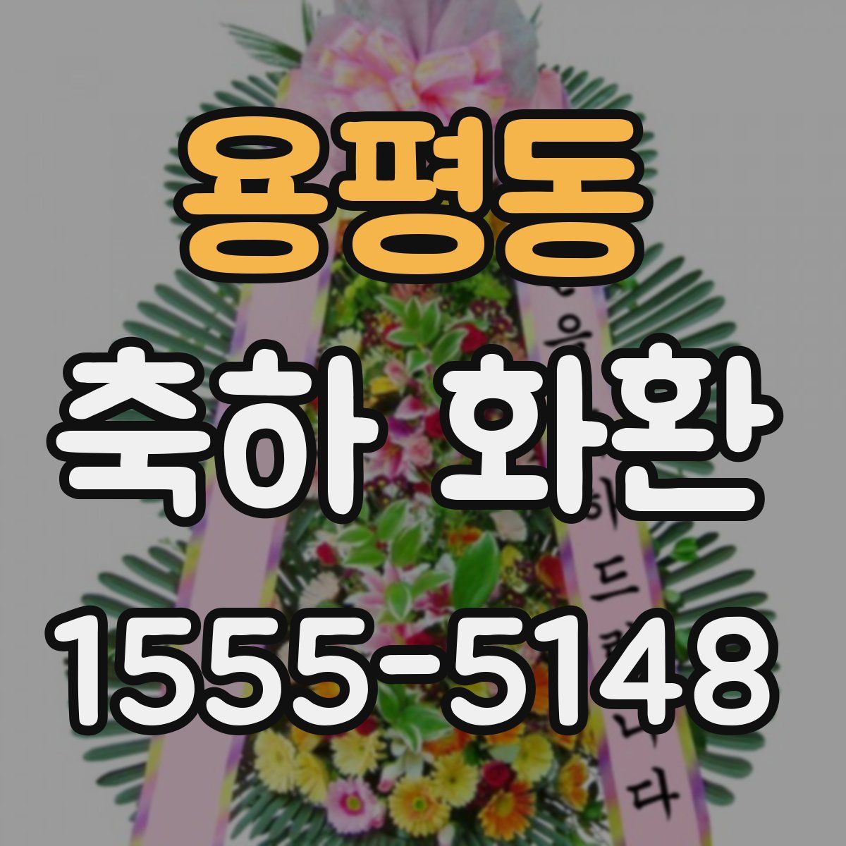 용평동 축하 화환