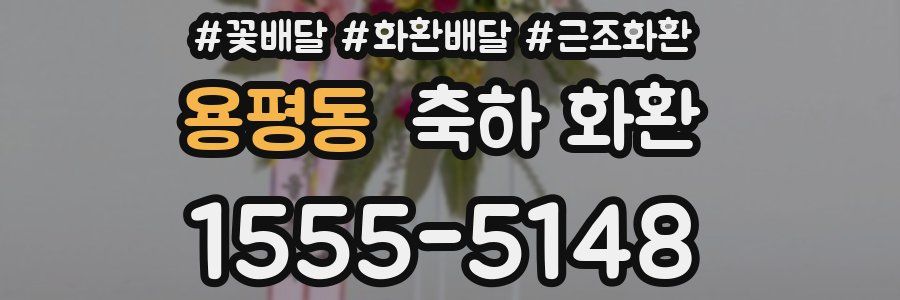 용평동 축하 화환