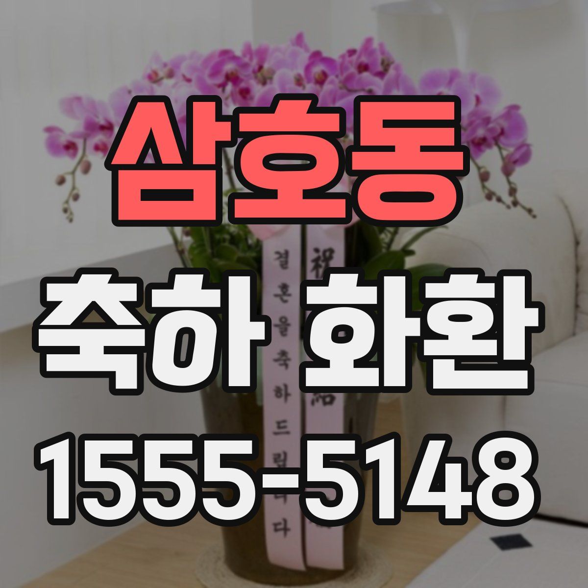 삼호동 축하 화환