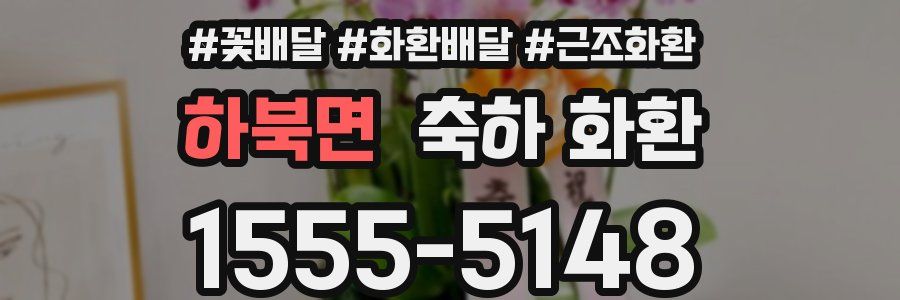 하북면 축하 화환