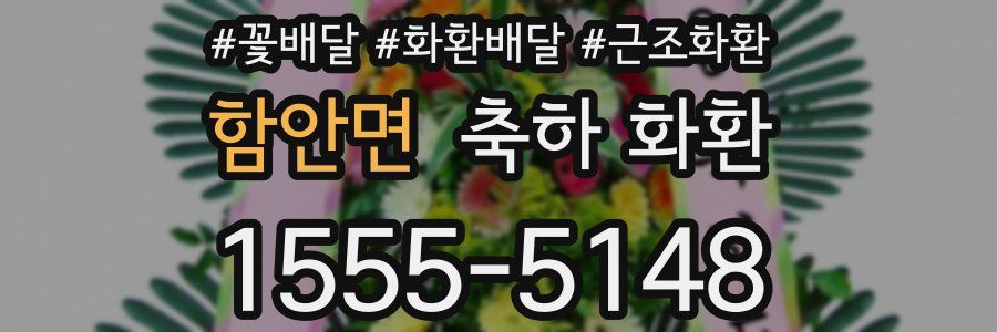 함안면 축하 화환