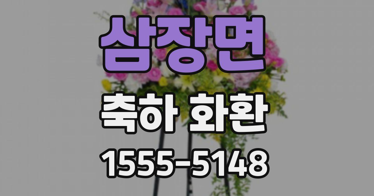 삼장면 축하 화환