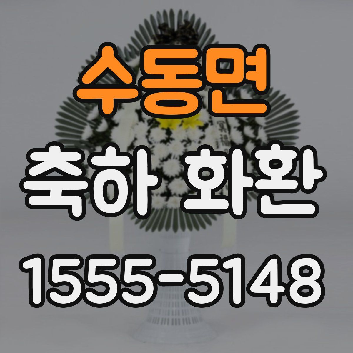 수동면 축하 화환