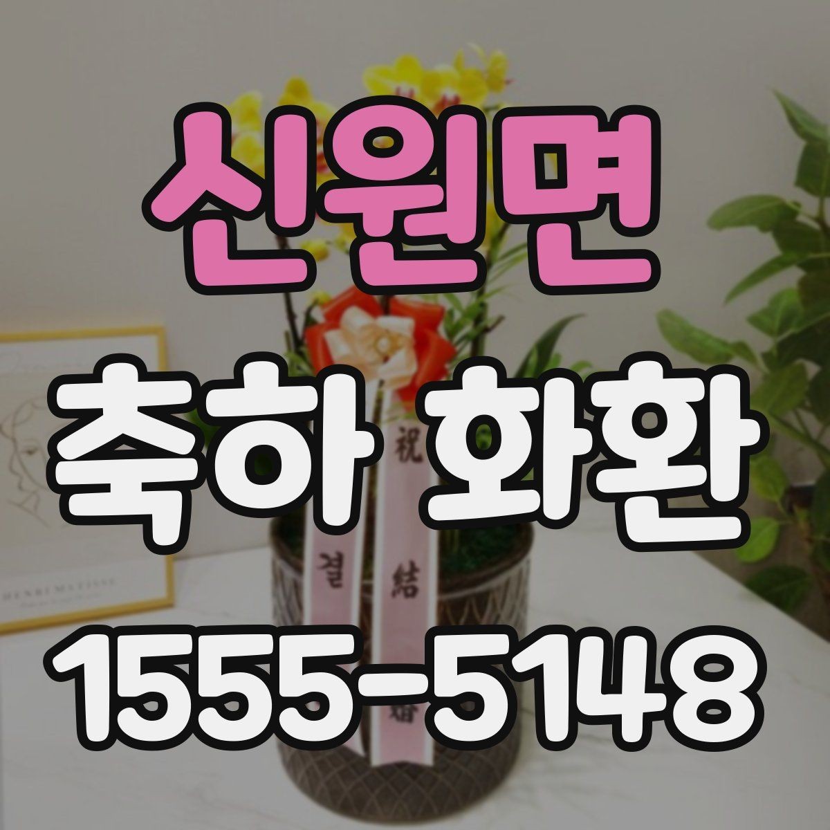 신원면 축하 화환 요청 전 준비하면 좋은 정보