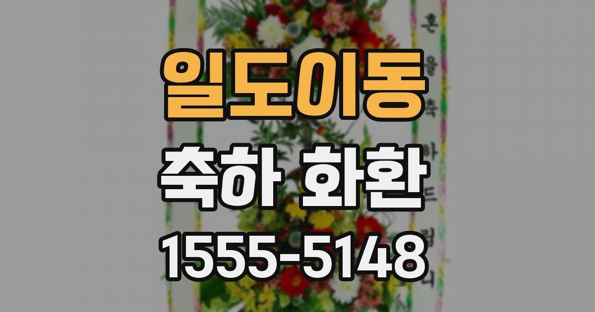 일도이동 축하 화환