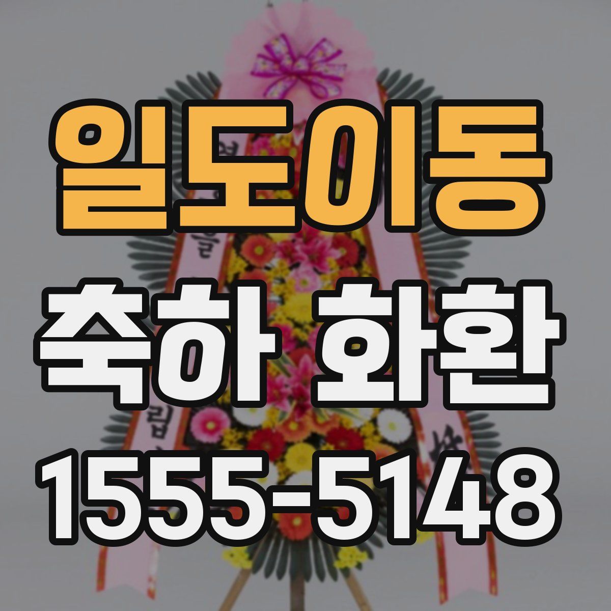 일도이동 축하 화환