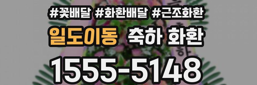 일도이동 축하 화환