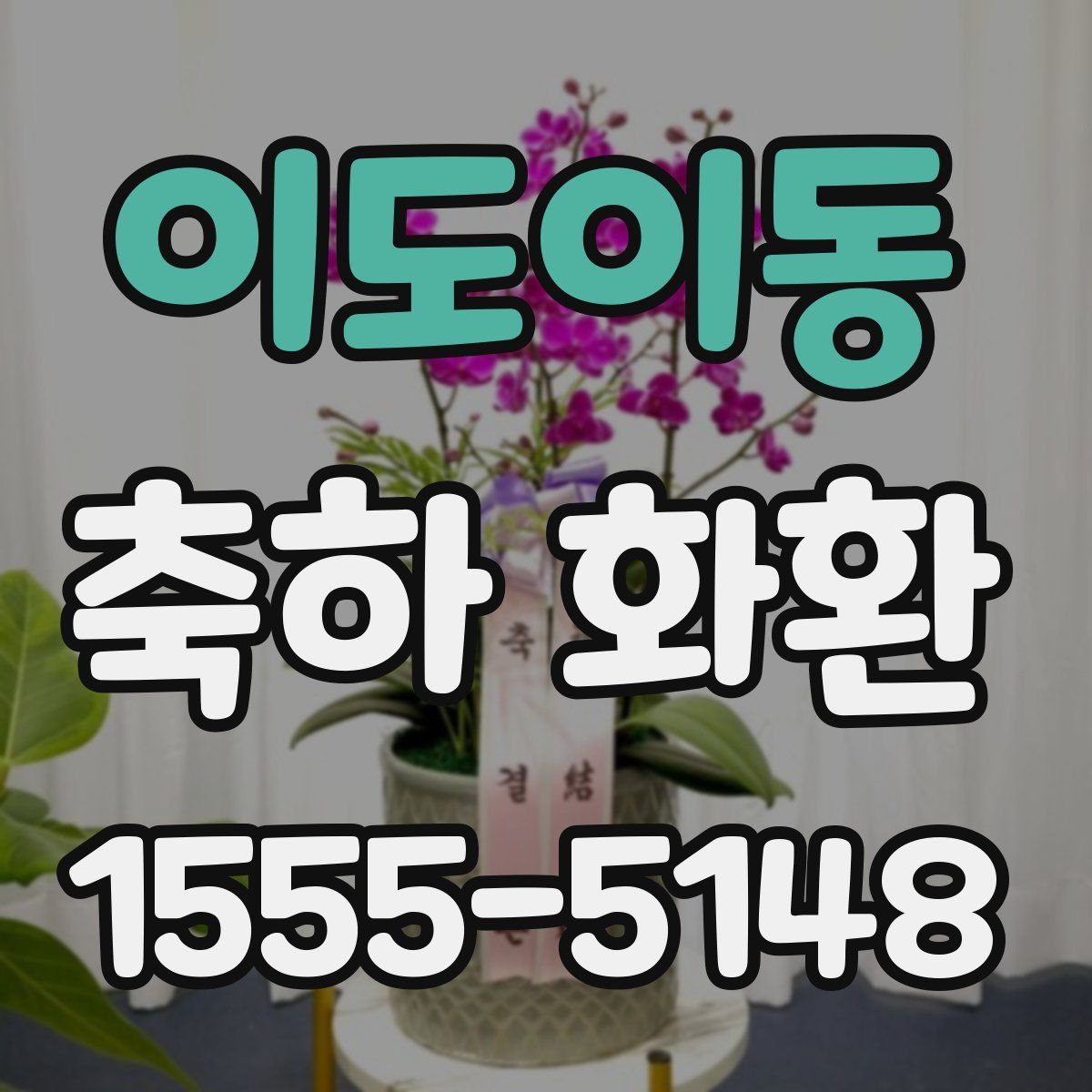 이도이동 축하 화환